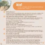 Wat zijn de voordelen van de AmfraMatic V3-DP+ pompschakelaar